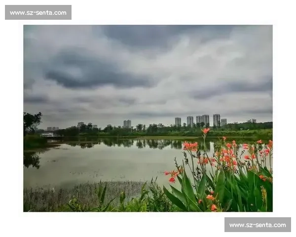 意见簿变身暖心册：青龙湖畔见证全球谢意与中国温度