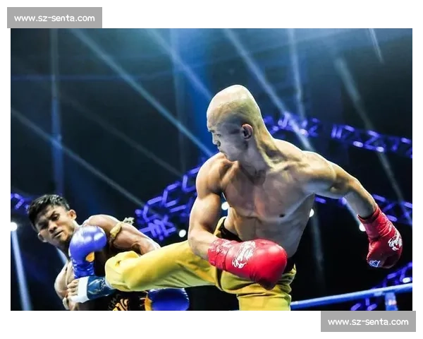 武僧一龙对决暴君拳王巅峰之战背后实力与争议全解析传奇较量命运走向