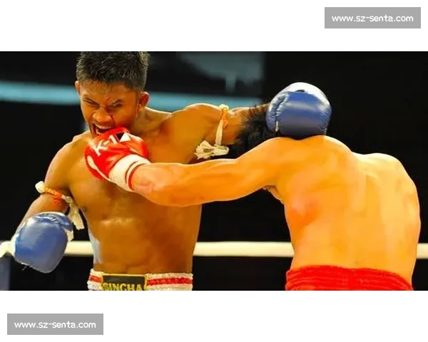 周志鹏对决播求胜负结果回顾与比赛关键瞬间解析全面真相复盘影响